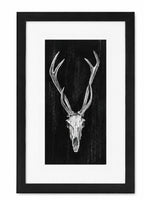 Set Of Rustic European Skull Art