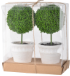 Faux Topiaries S/2