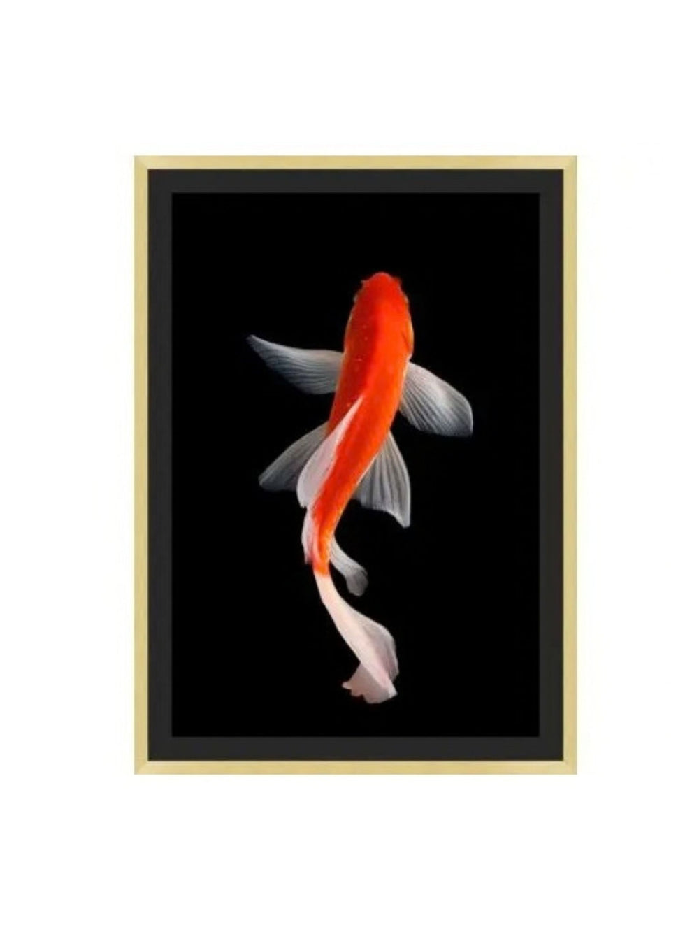 Orange Koi 2 Artwork