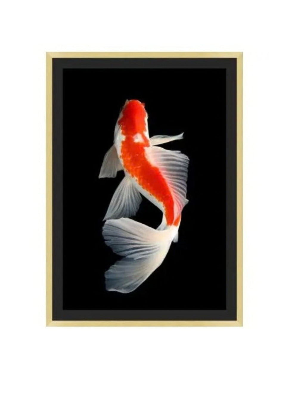Orange Koi 1 Artwork