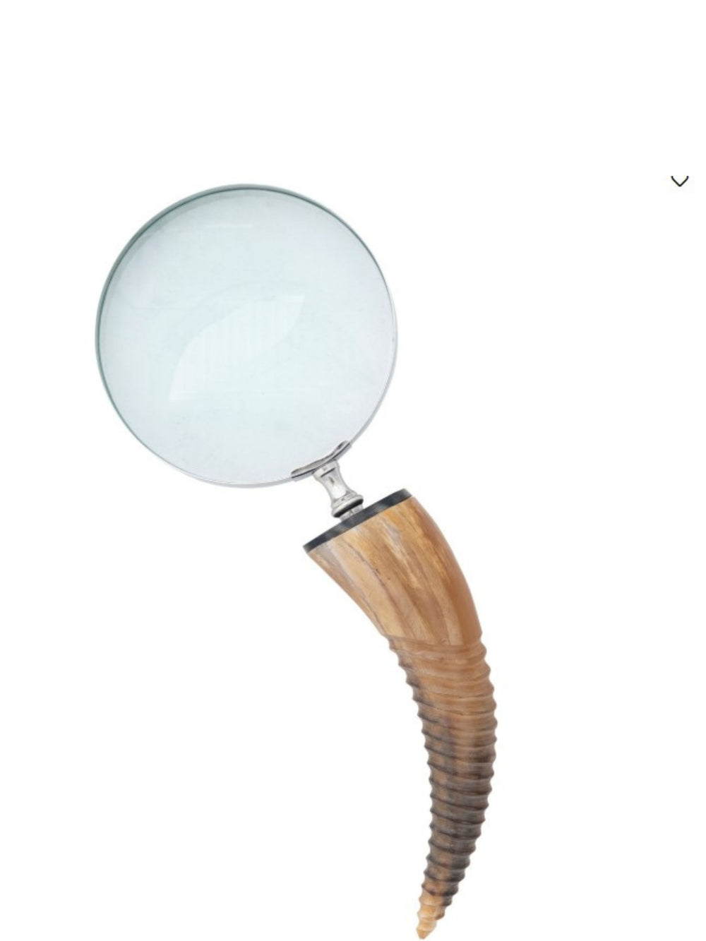 Stainless Steel Magnifying Glass | Natural Horn Handle