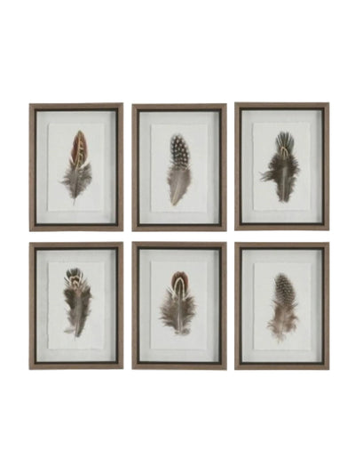 Birds of a Feather Framed Print