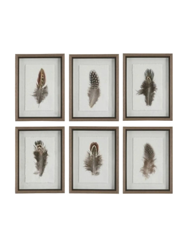 Birds of a Feather Framed Print