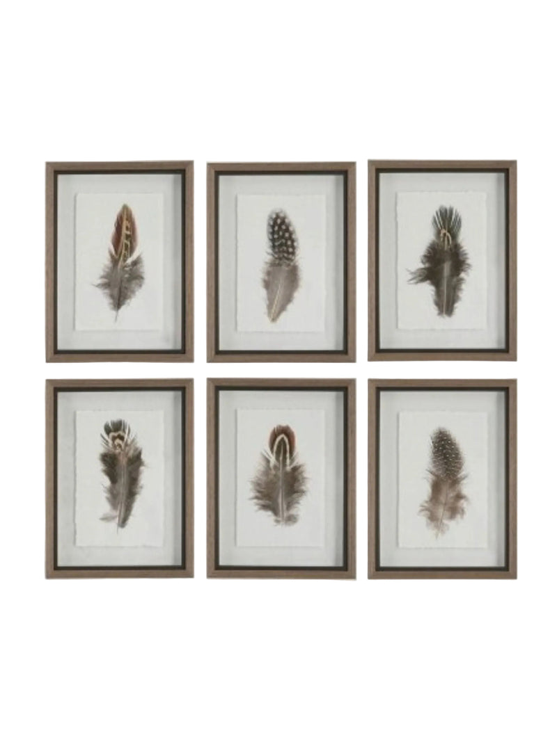 Birds of a Feather Framed Print