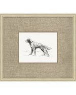 Canine Heirloom 1