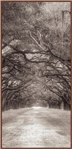 Nature's Arch Triptych