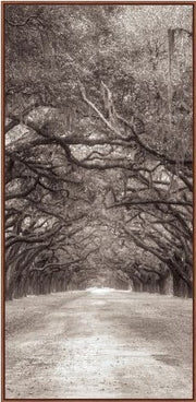 Nature's Arch Triptych