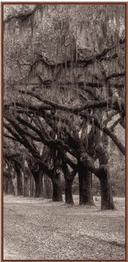 Nature's Arch Triptych