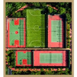 Jungle Court 1 | 32 X 35