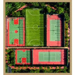 Jungle Court 1 | 32 X 35