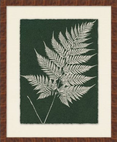 Leaf Impressions 4