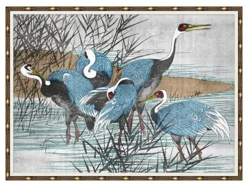 Wading Heron's