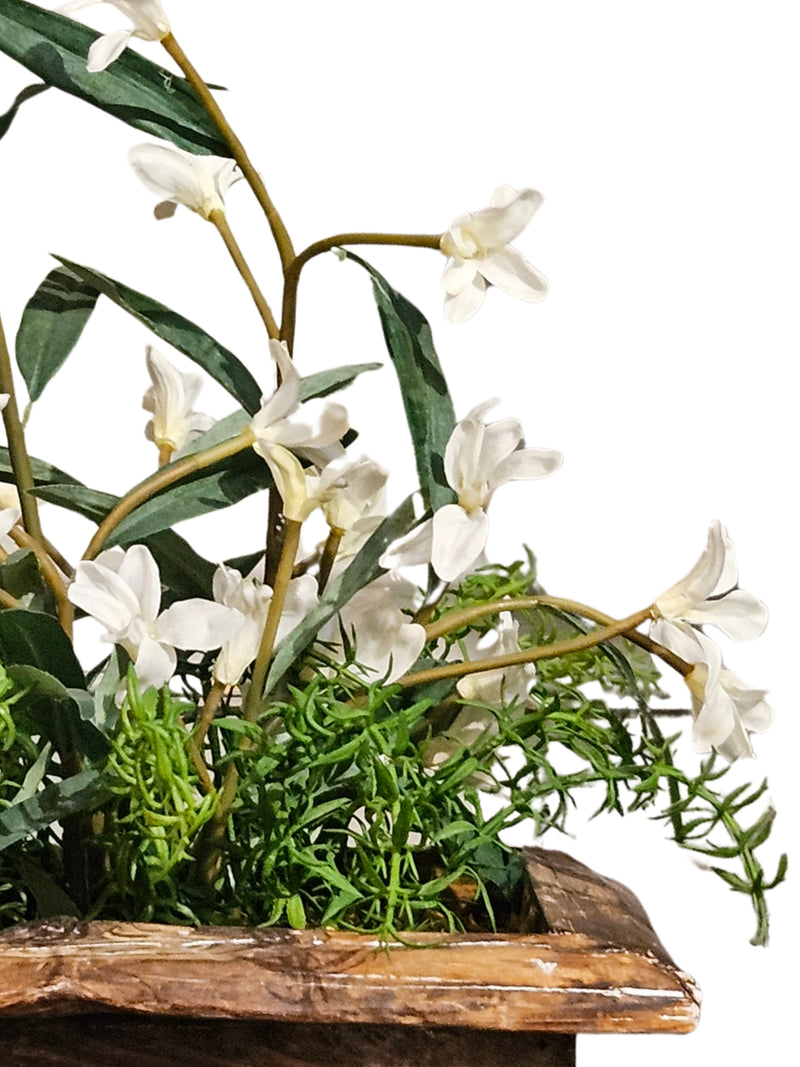White Phlox Flowers in Wooden Planter