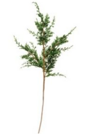 Faux Juniper Branch
