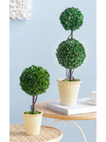 Artificial Boxwood Topiary in Plant Pot |Green & White