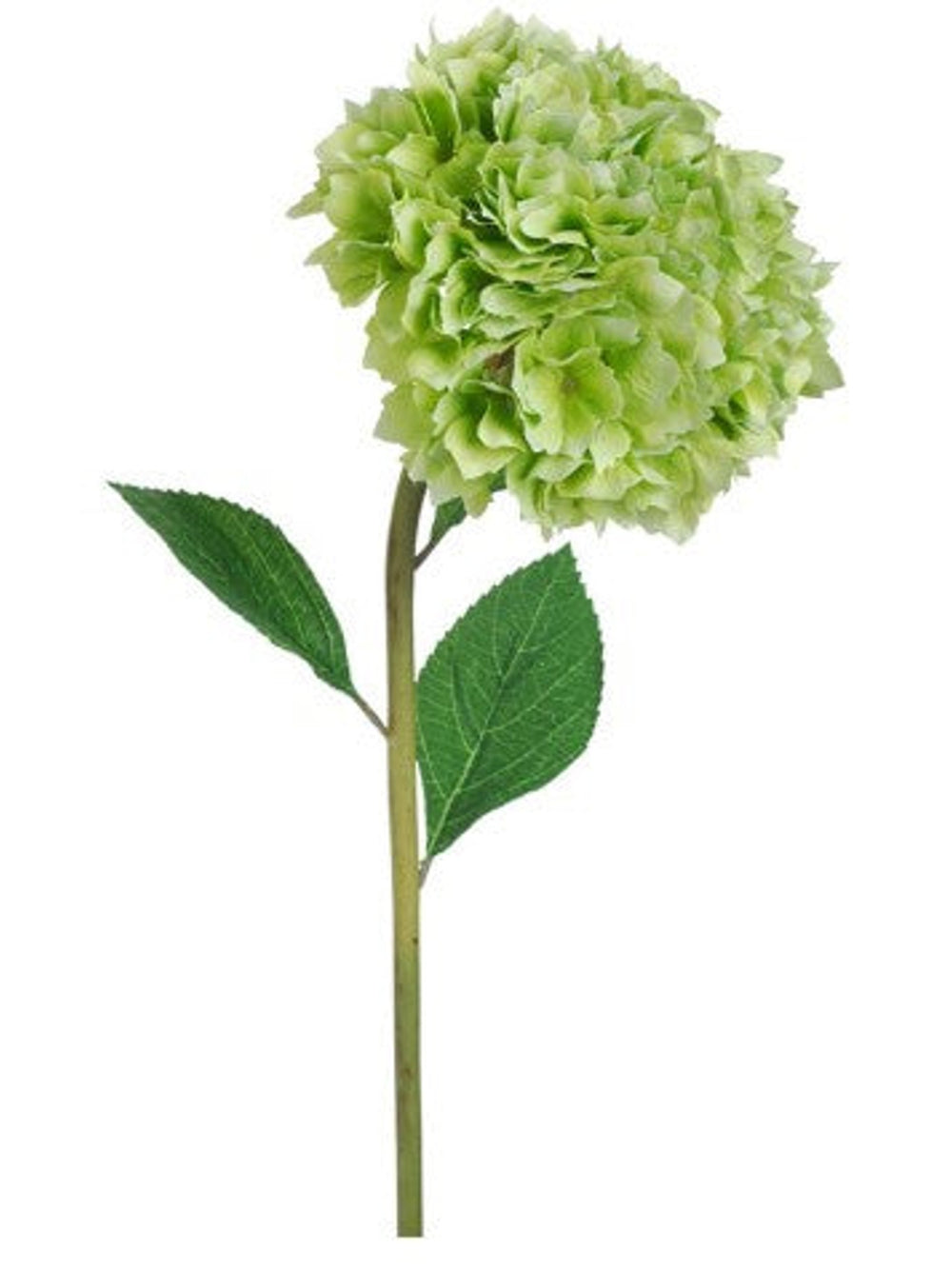 Hydrangea Stem w/Leaves | Green