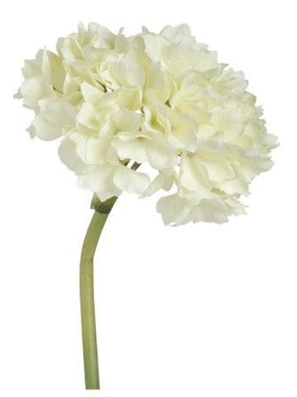 Hydrangea Stem | Cream