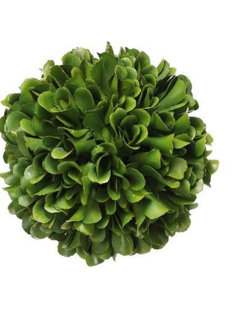 Bali 5" Topiary Boxwood