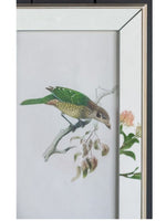 Bird Artwork w/Mirror Frame