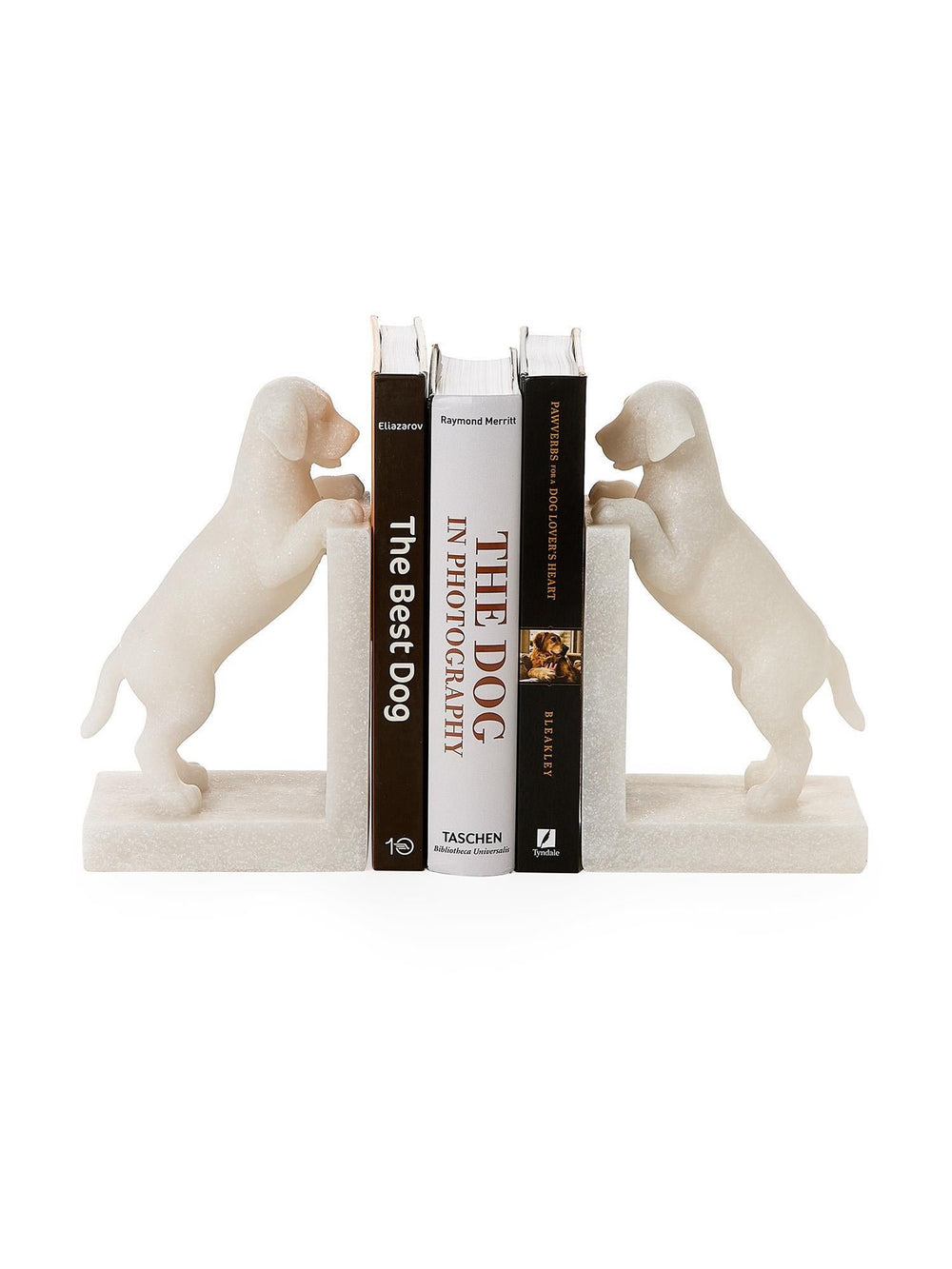 Playful Puppy Dog Set of 2 Book Ends