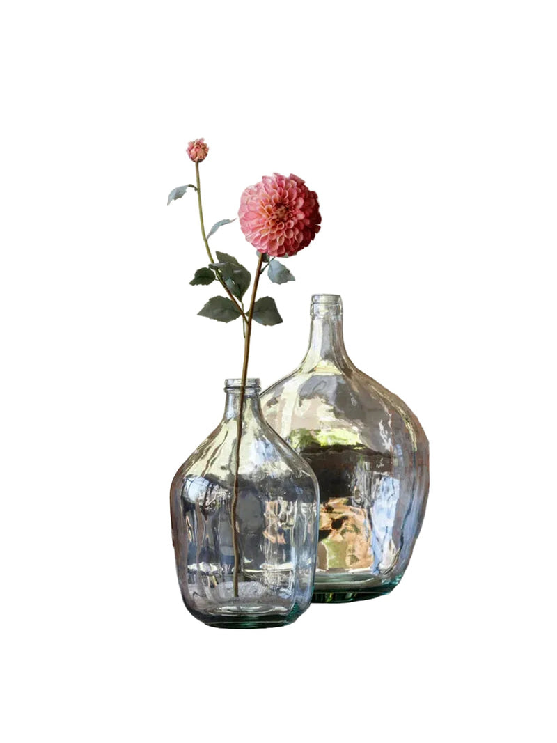 French Border Dahlia | Pink