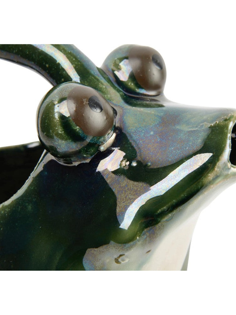 Stoneware Frog Watering Pitcher