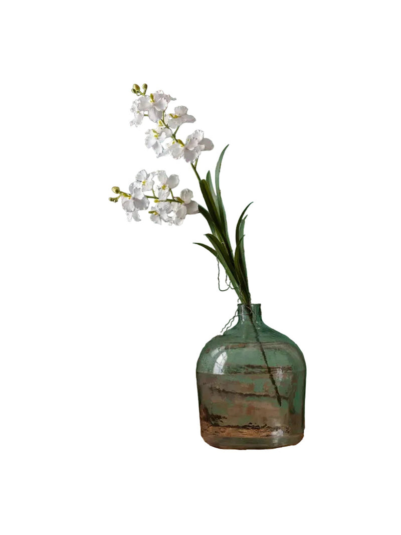 Vanilla Orchid Double Stem