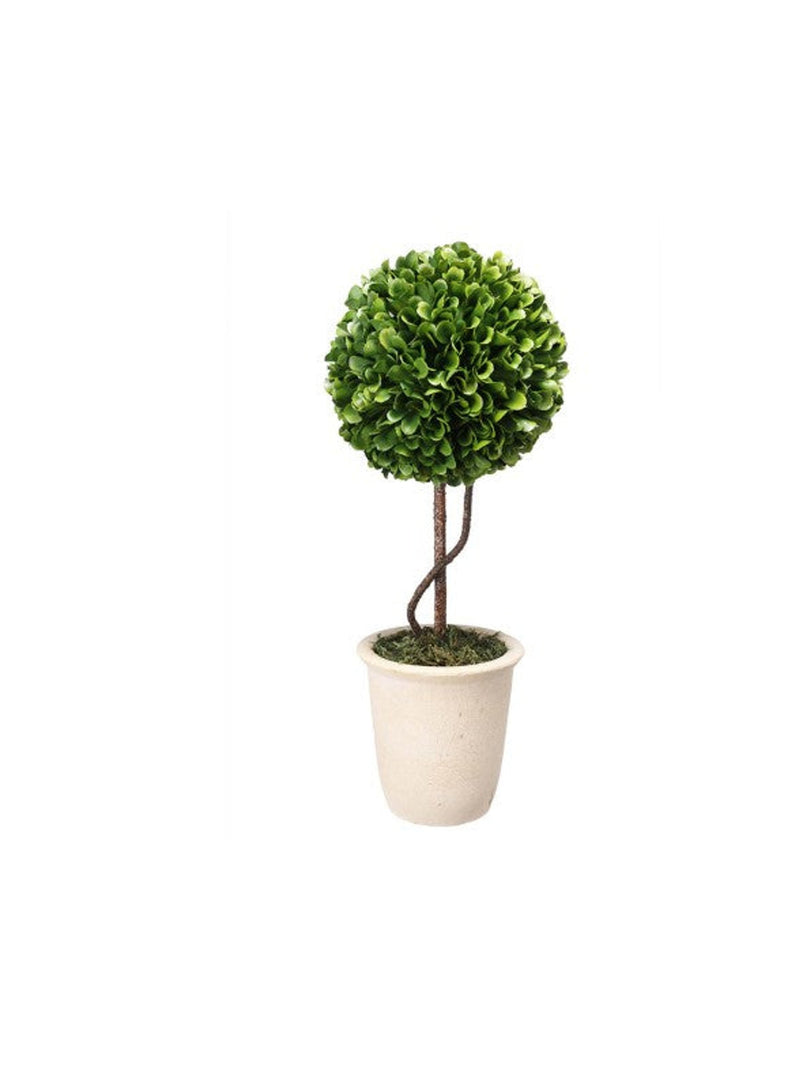 Artificial Boxwood Topiary in Plant Pot |Green & White