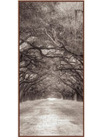 Nature's Arch Triptych