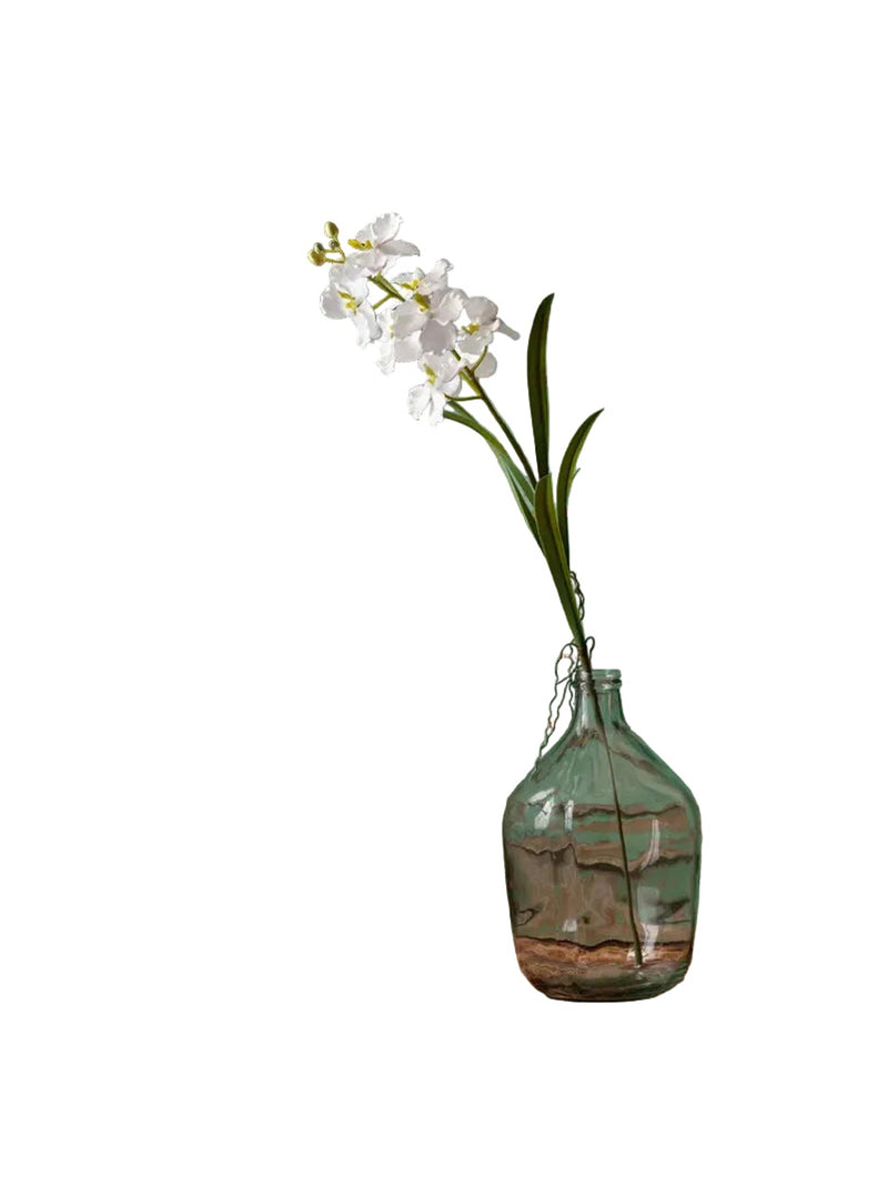 Vanilla Orchid Single Stem