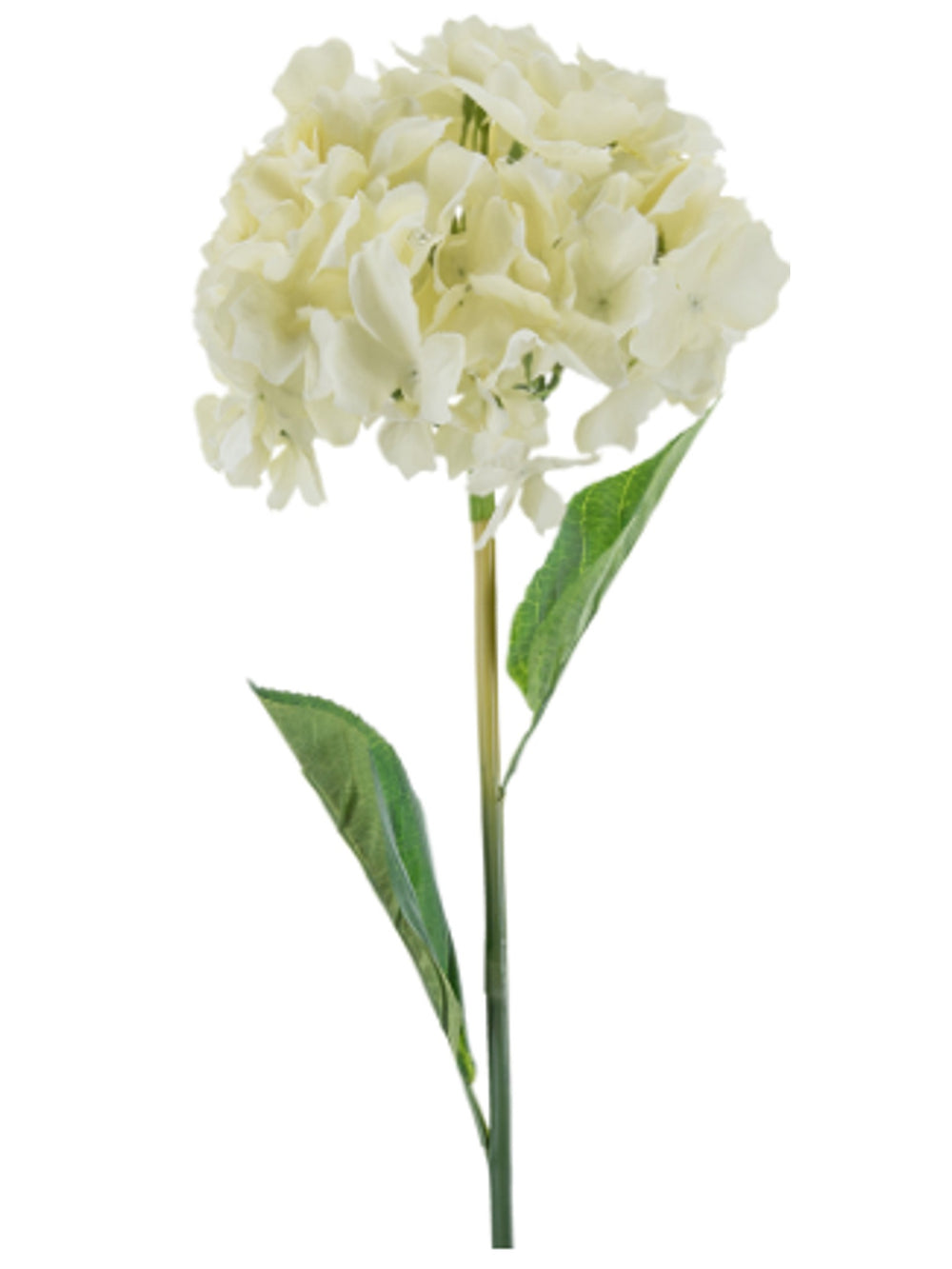 Hydrangea Stem w/Leaves | Cream
