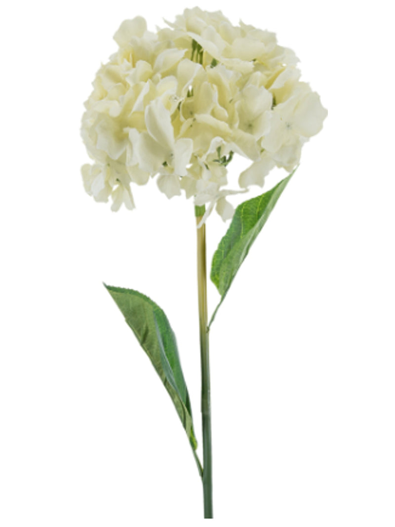Hydrangea Stem w/Leaves | Cream