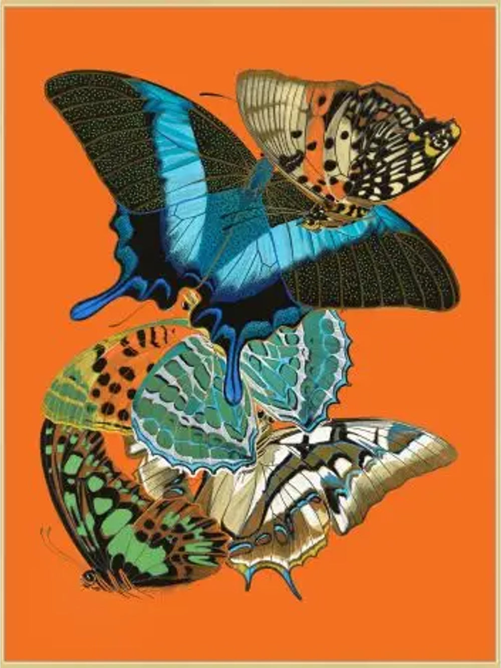 Butterfly wings on a bright flat orange background