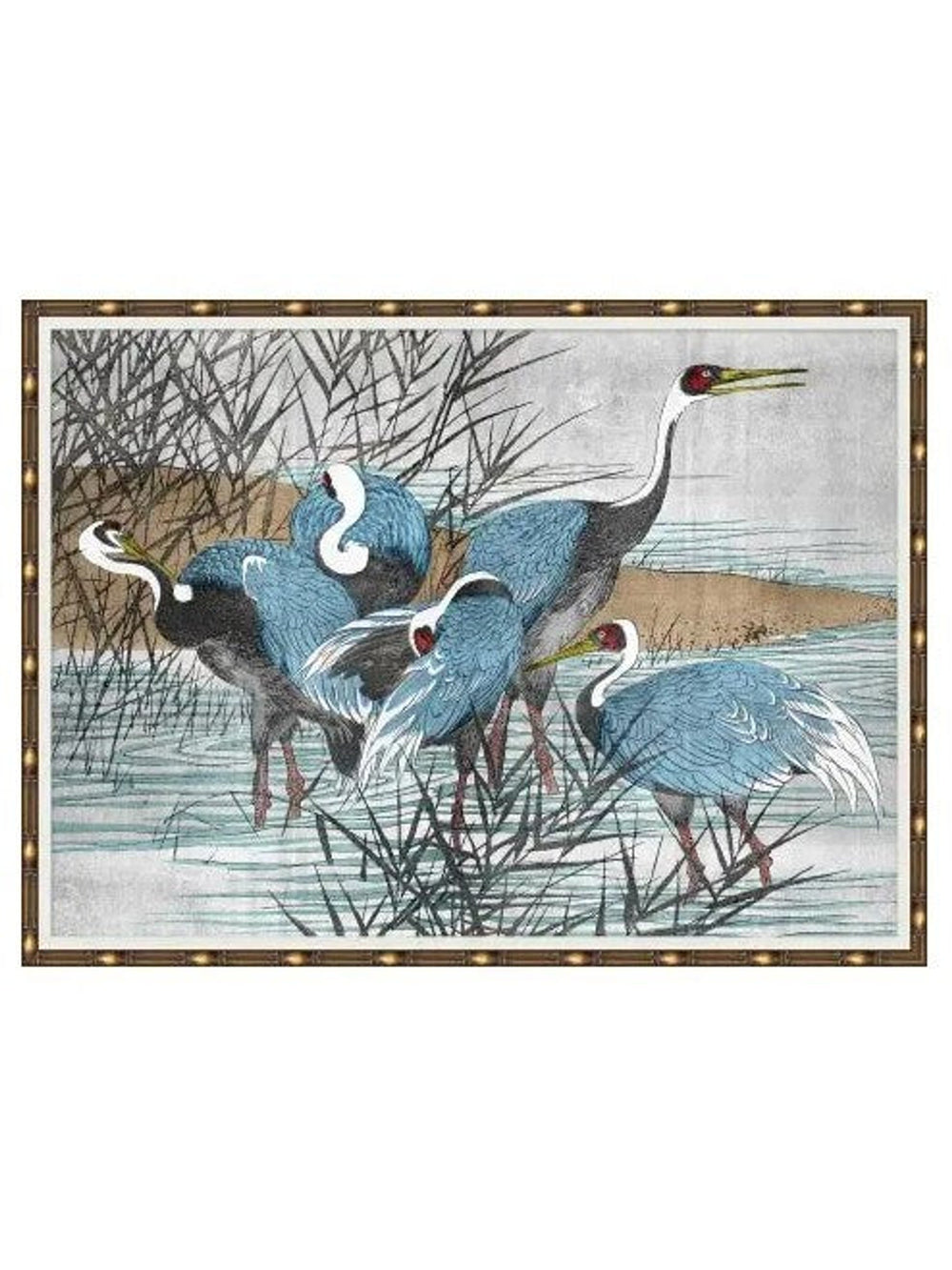 Wading Heron's