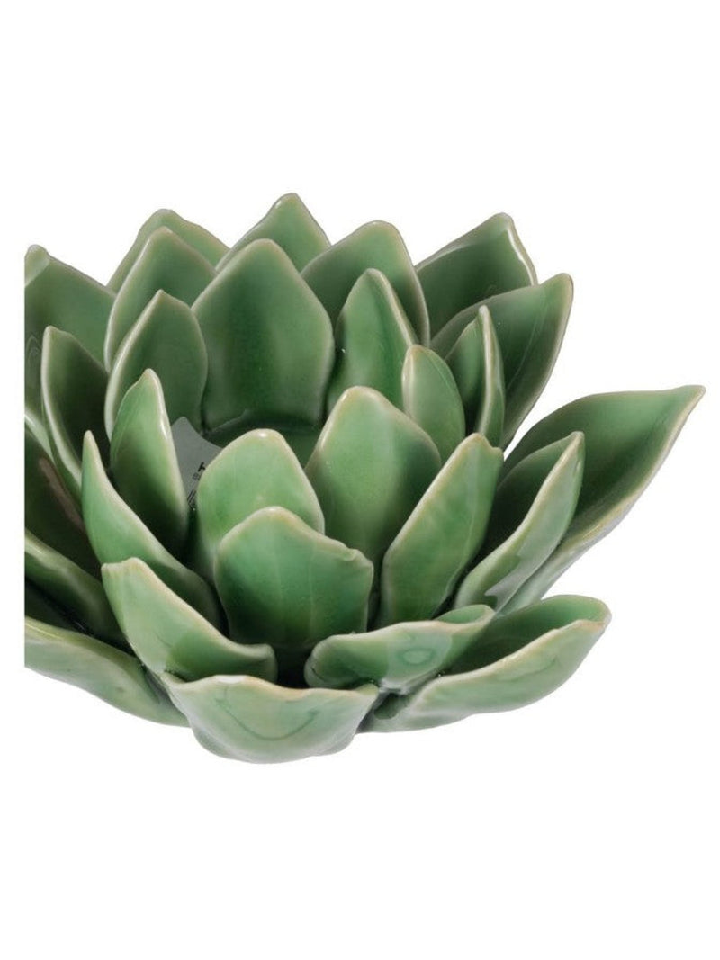 Blooming Artichoke
