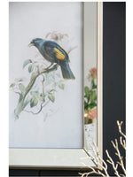 Bird Artwork w/Mirror Frame