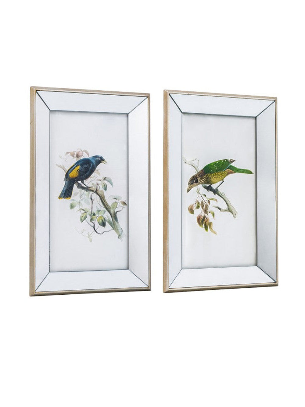 Bird Artwork w/Mirror Frame