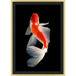 Orange Koi 1 | 32 X 45