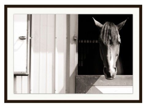 Happy Horse