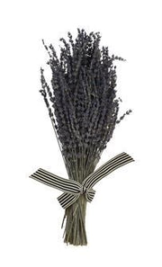 Natural Lavender Stems