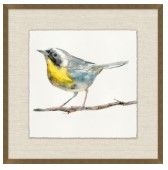 Springtime Chirp 6 Art