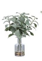 Ceci Kitchen Herb