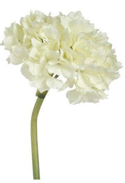 Hydrangea Stem | Cream