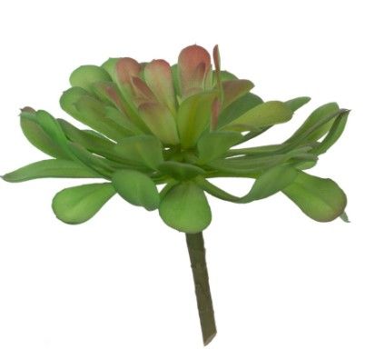 Faux Dudleya Succulent