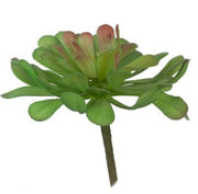 Faux Dudleya Succulent