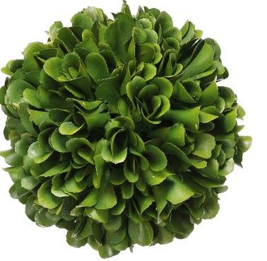 Bali 4" Topiary Boxwood