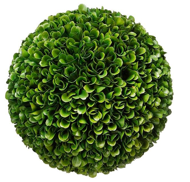 Bali Topiary Boxwood