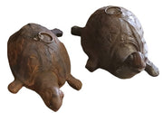 Wood Carved Tortoise