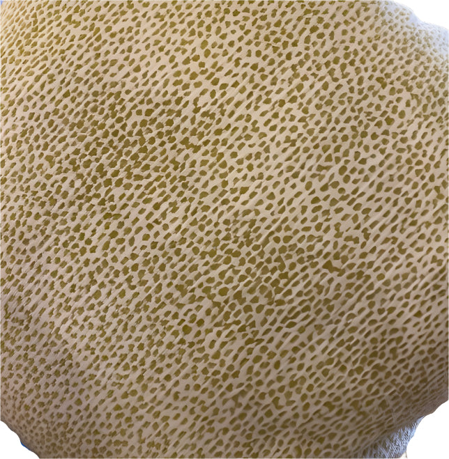 Siamese Kiwi 20" Pillow