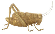 Gold Cricket